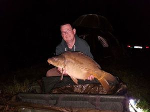 Mirror Carp