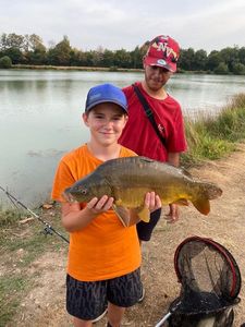 Mirror Carp