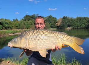 Common Carp