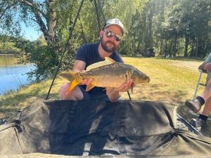 Mirror Carp