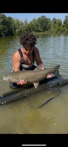 Grass Carp