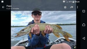 Northern Pike