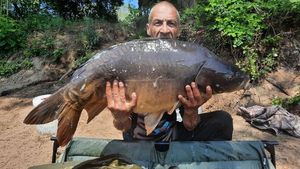 Mirror Carp