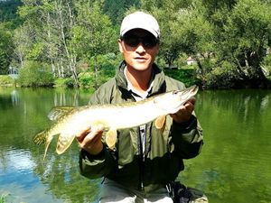 Northern Pike