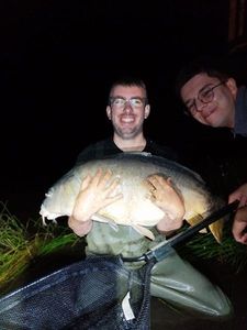 Mirror Carp