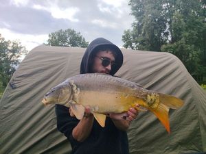 Mirror Carp