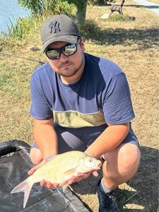 Common Bream