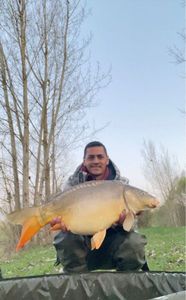Leather Carp