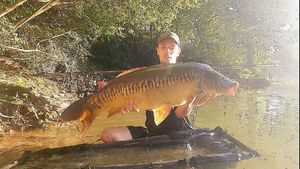 Mirror Carp