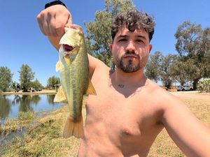 Largemouth Bass