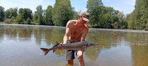 Sturgeon