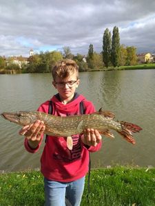Northern Pike