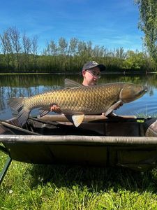Grass Carp