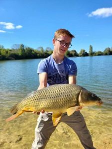 Common Carp
