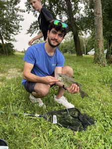 Largemouth Bass