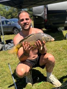 Mirror Carp