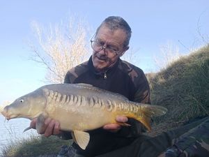 Mirror Carp
