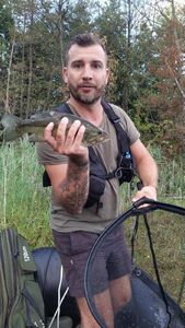 Largemouth Bass