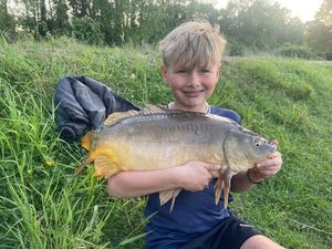 Mirror Carp