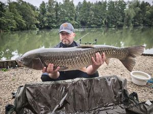Grass Carp