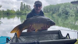 Mirror Carp