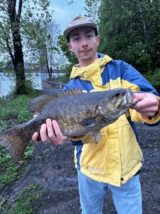 Smallmouth Bass