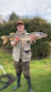 Northern Pike