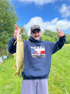 Northern Pike