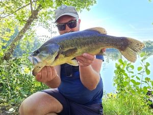 Largemouth Bass