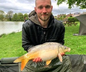 Mirror Carp