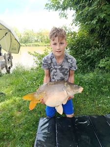 Mirror Carp
