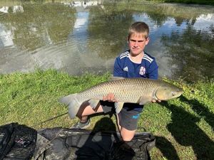 Grass Carp