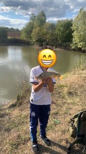 Mirror Carp