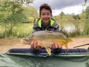 Mirror Carp