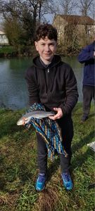 Rainbow Trout