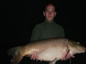 Mirror Carp