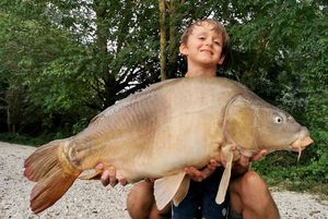 Mirror Carp