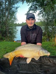 Mirror Carp