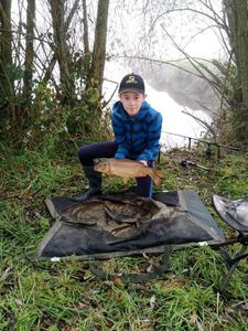 Common Carp