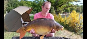 Mirror Carp