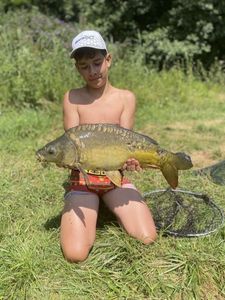 Mirror Carp