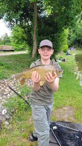 Common Carp