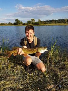 Northern Pike