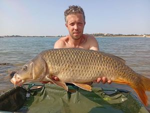 Common Carp