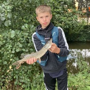 Northern Pike