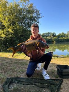 Mirror Carp
