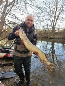 Northern Pike