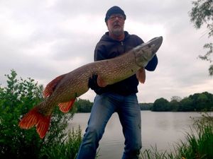 Northern Pike