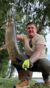 Northern Pike