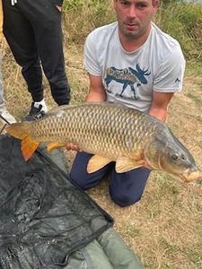 Common Carp